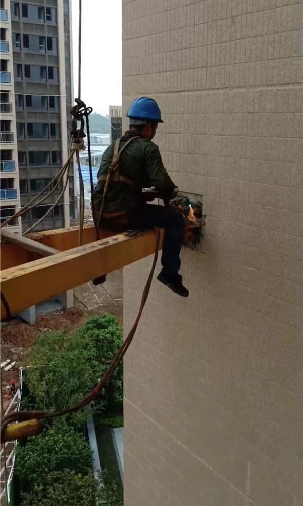 �≦�A(y��)�Ƙ�(g��u)����������Q